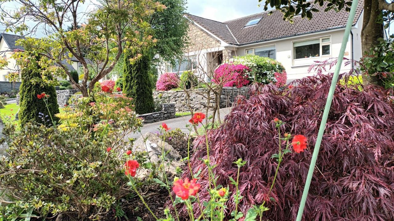 Laburnum B&B เคนแมร์ ภายนอก รูปภาพ