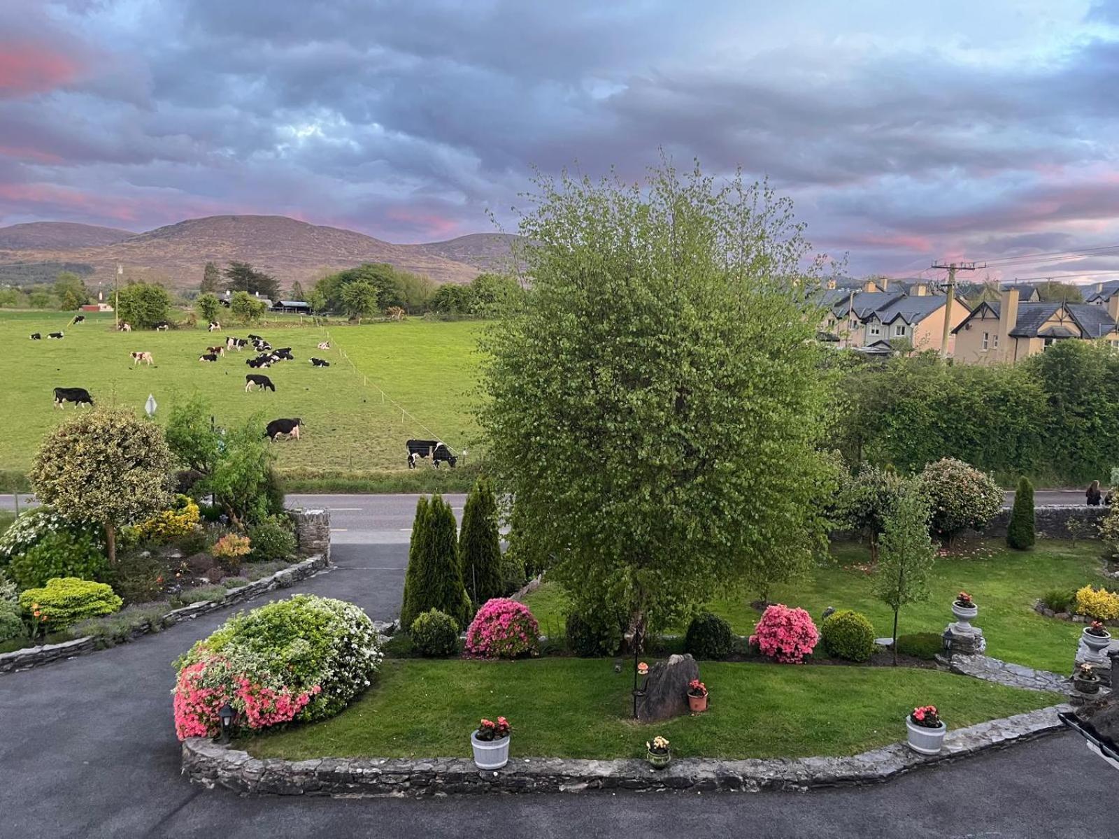 Laburnum B&B เคนแมร์ ภายนอก รูปภาพ
